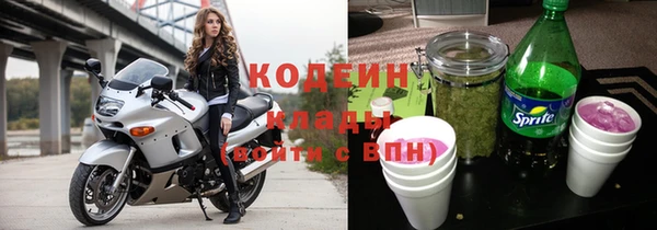 ECSTASY Богданович