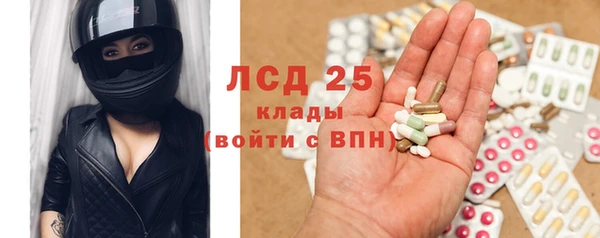 ECSTASY Богданович