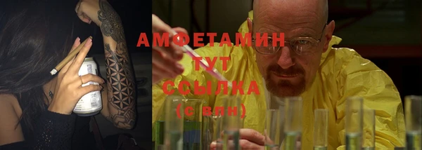 ECSTASY Богданович