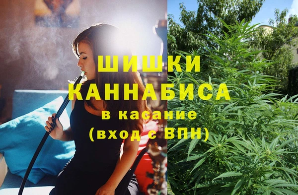 ECSTASY Богданович