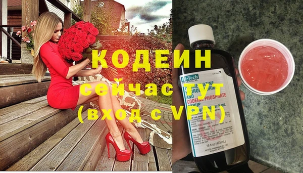 ECSTASY Богданович