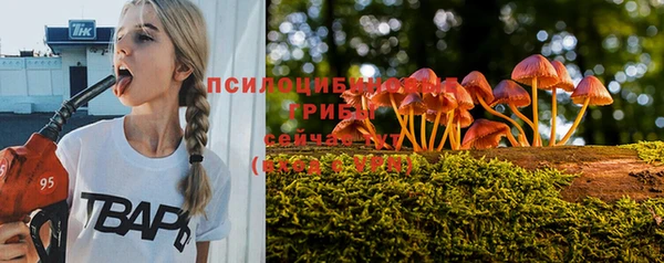 таблы Богородск