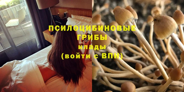 кокаин перу Богородицк