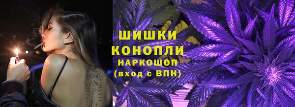 ECSTASY Богданович