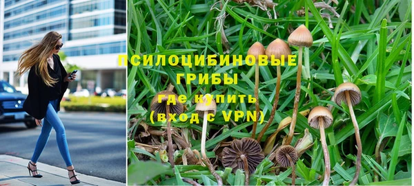 таблы Богородск