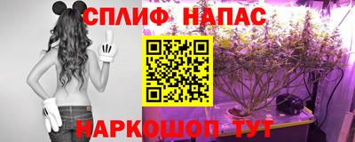 стафф Лесосибирск