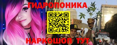 стафф Лесосибирск
